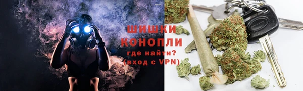 прущие грибы Липки