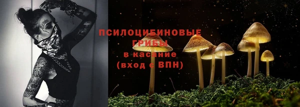 СК Лиски