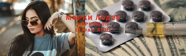 прущие грибы Липки