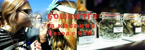 прущие грибы Липки
