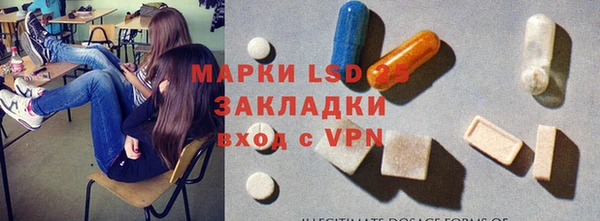 прущие грибы Липки