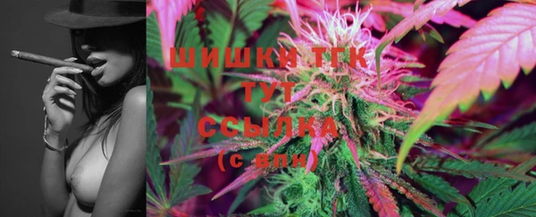 СК Лиски