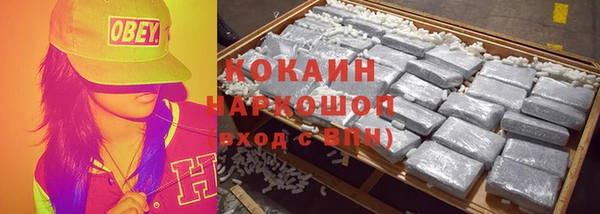 прущие грибы Липки