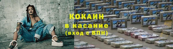прущие грибы Липки